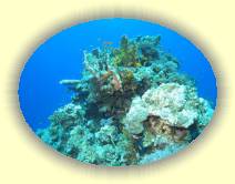 IMG_2007_05_26 18_18_51 * 2210 x 1656 * (615KB)